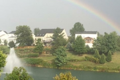 Overlooking pond