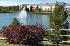 Stratford_Lake_reflection2