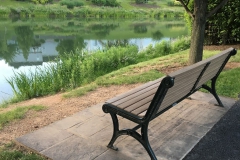 Pond