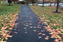trail_350x300