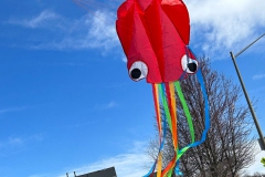 Kite1_800x400