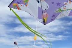 Kite2_700x400