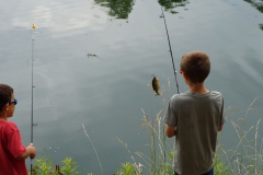 Fishing4_800x400