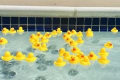 PoolParty11_800x400
