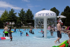 PoolParty8_800x400